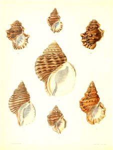 n215_w1150