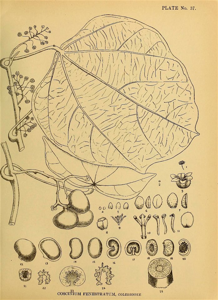 n112_w1150