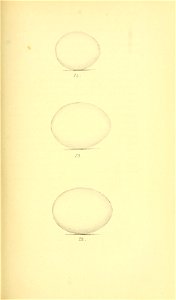 n202_w1150