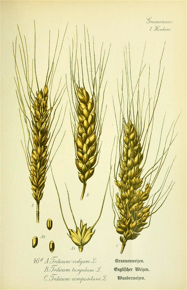 n596_w1150