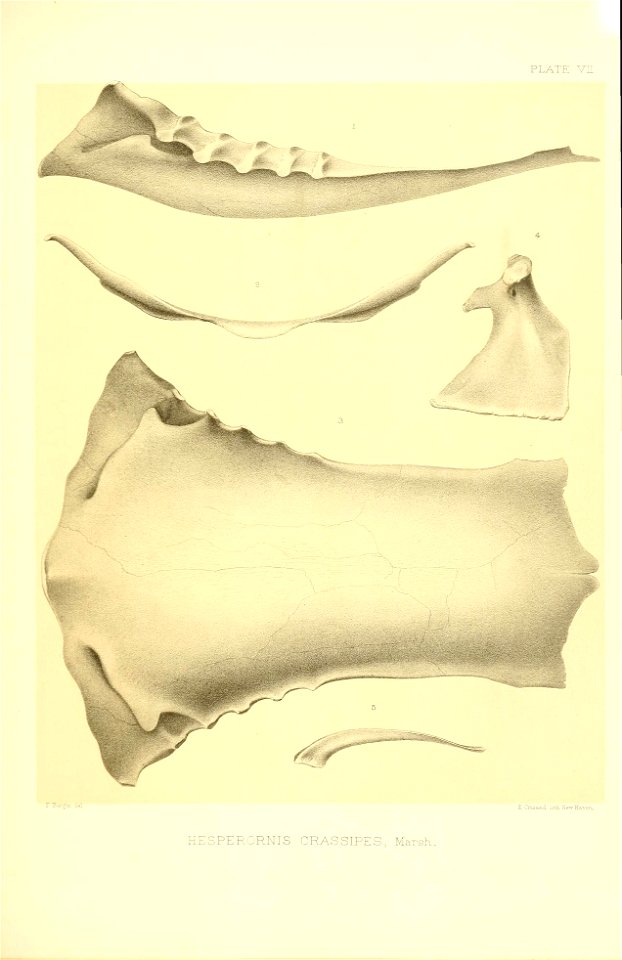 n254_w1150