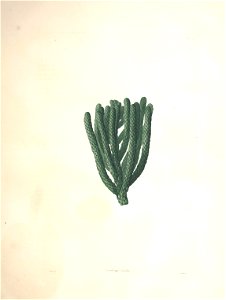 n171_w1150