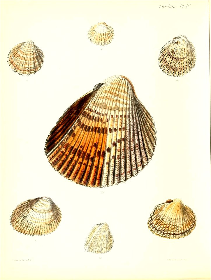 n417_w1150
