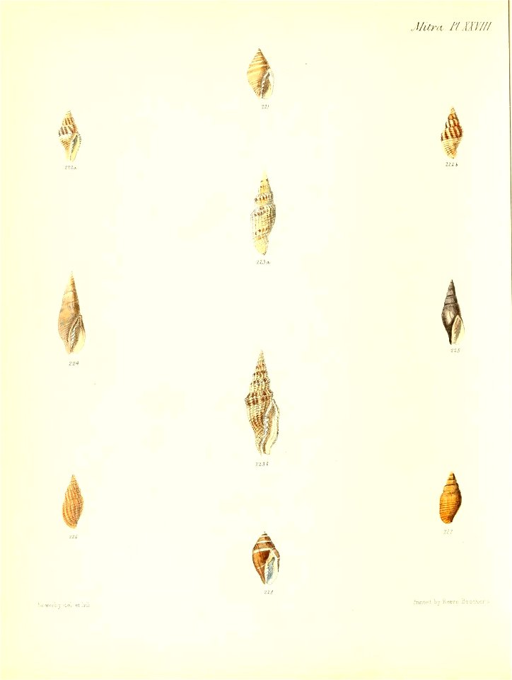 n351_w1150