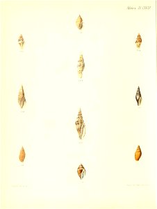 n351_w1150