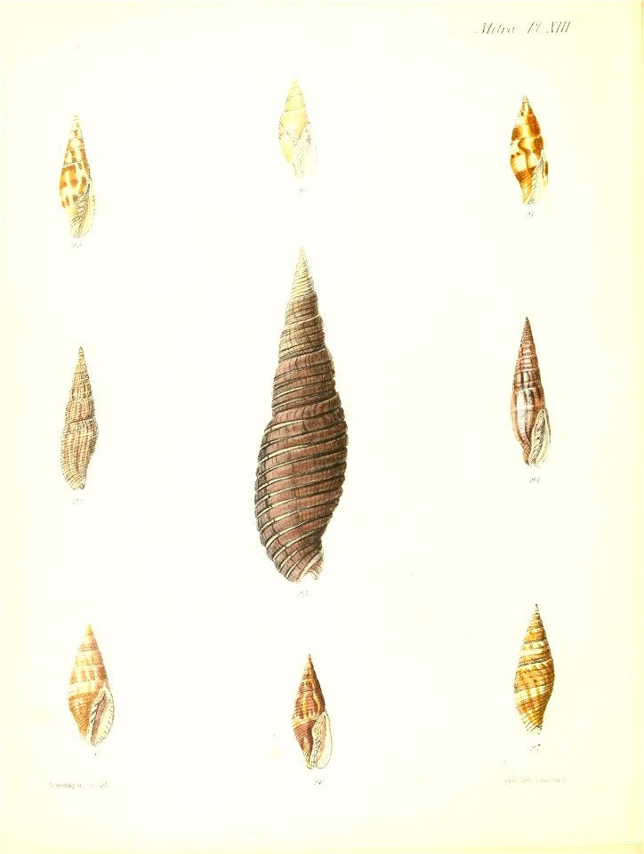 n291_w1150