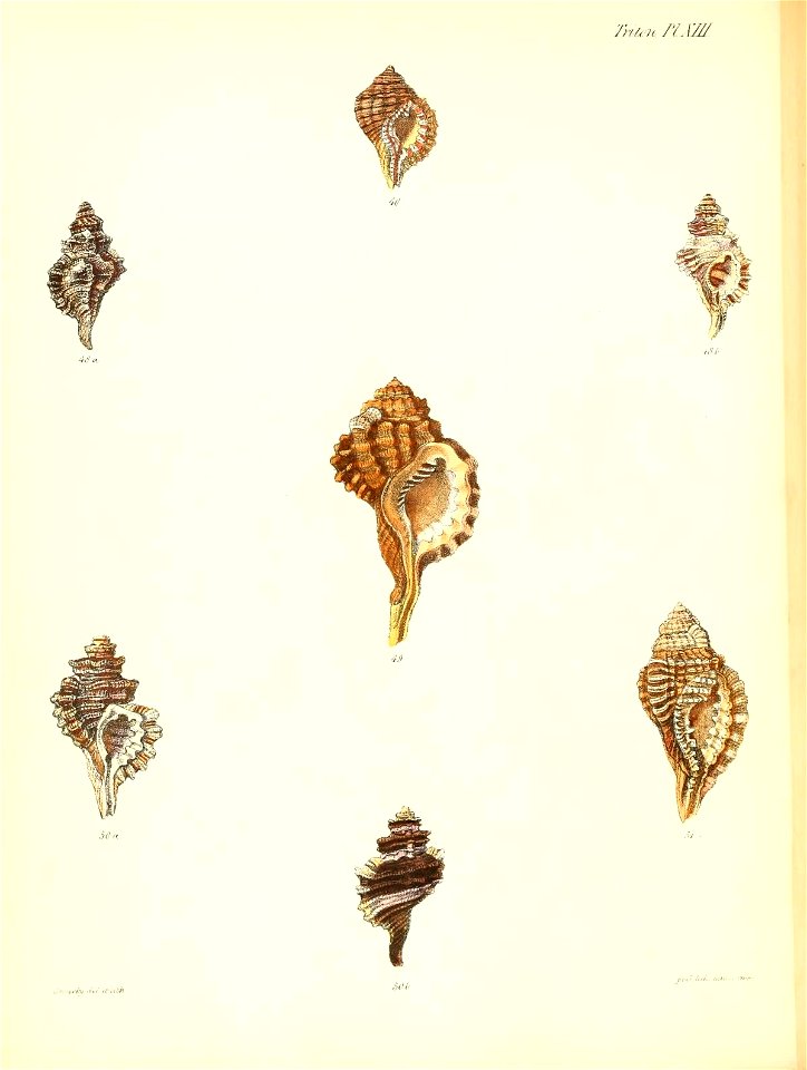 n157_w1150