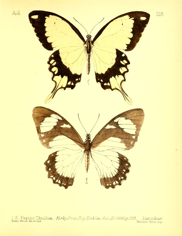 n112_w1150