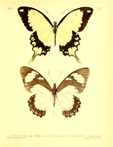 n112_w1150