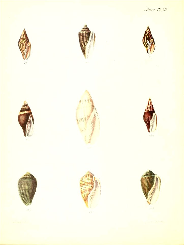 n287_w1150
