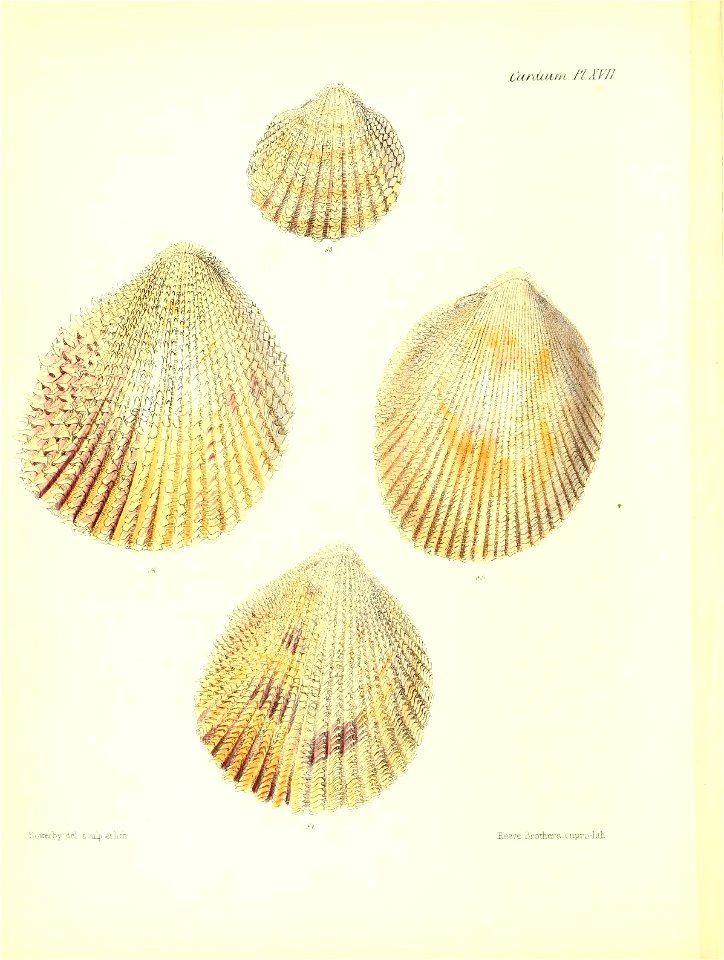 n469_w1150
