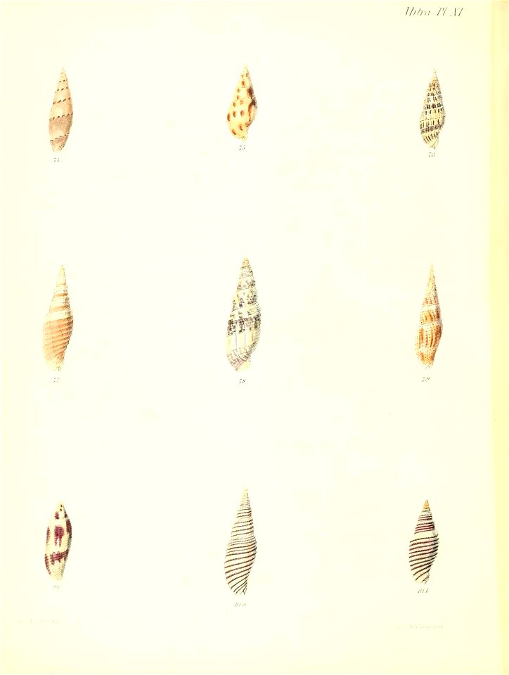 n283_w1150