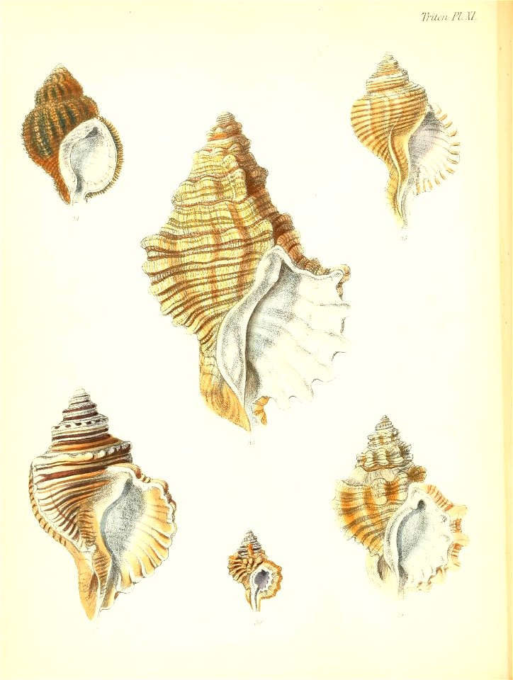 n149_w1150