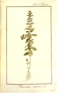 n113_w1150
