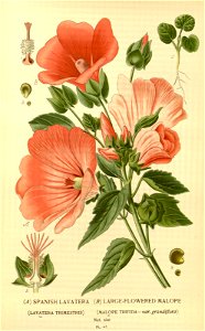 n149_w1150