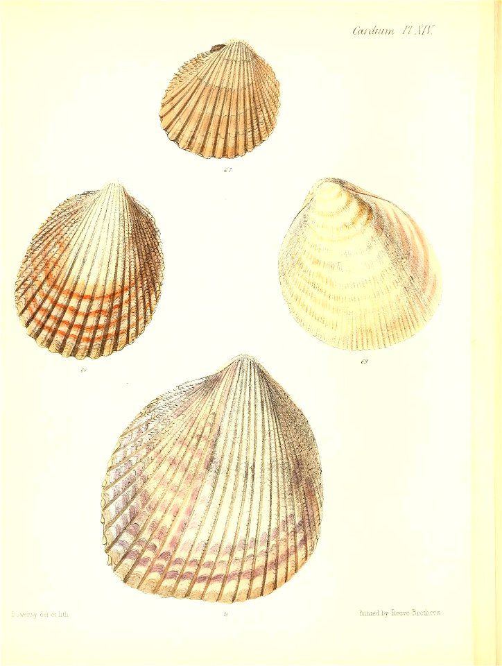 n457_w1150