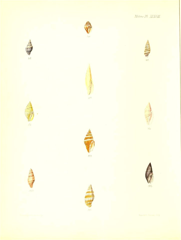 n391_w1150