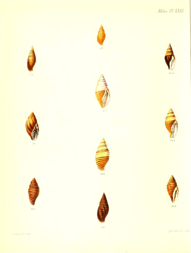 n331_w1150