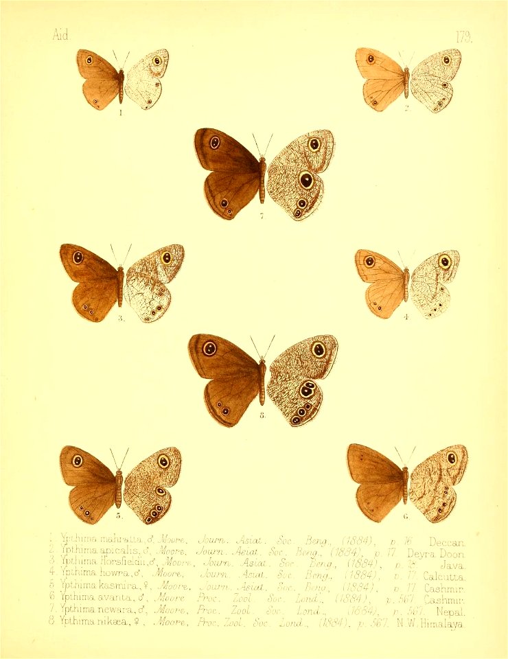 n192_w1150