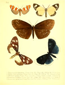 n178_w1150