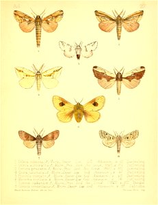 n208_w1150