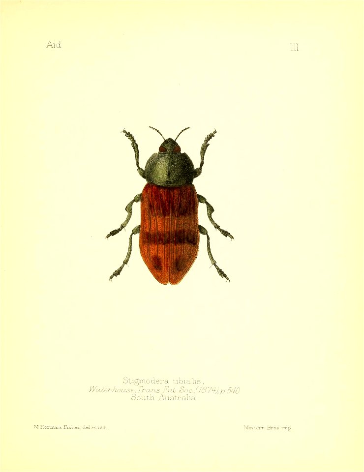 n56_w1150