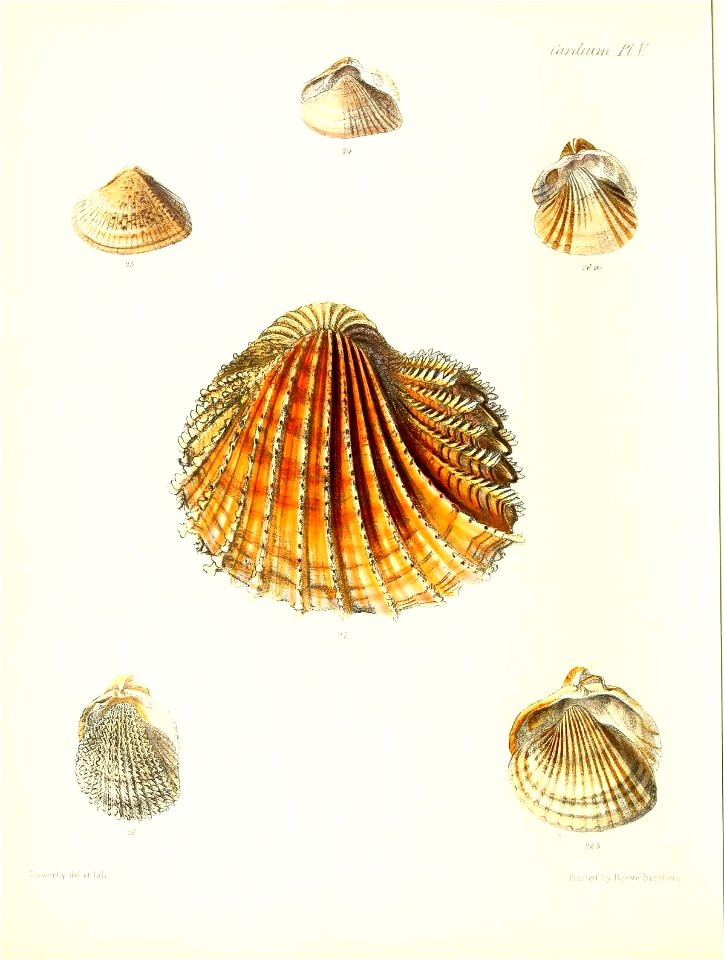 n421_w1150