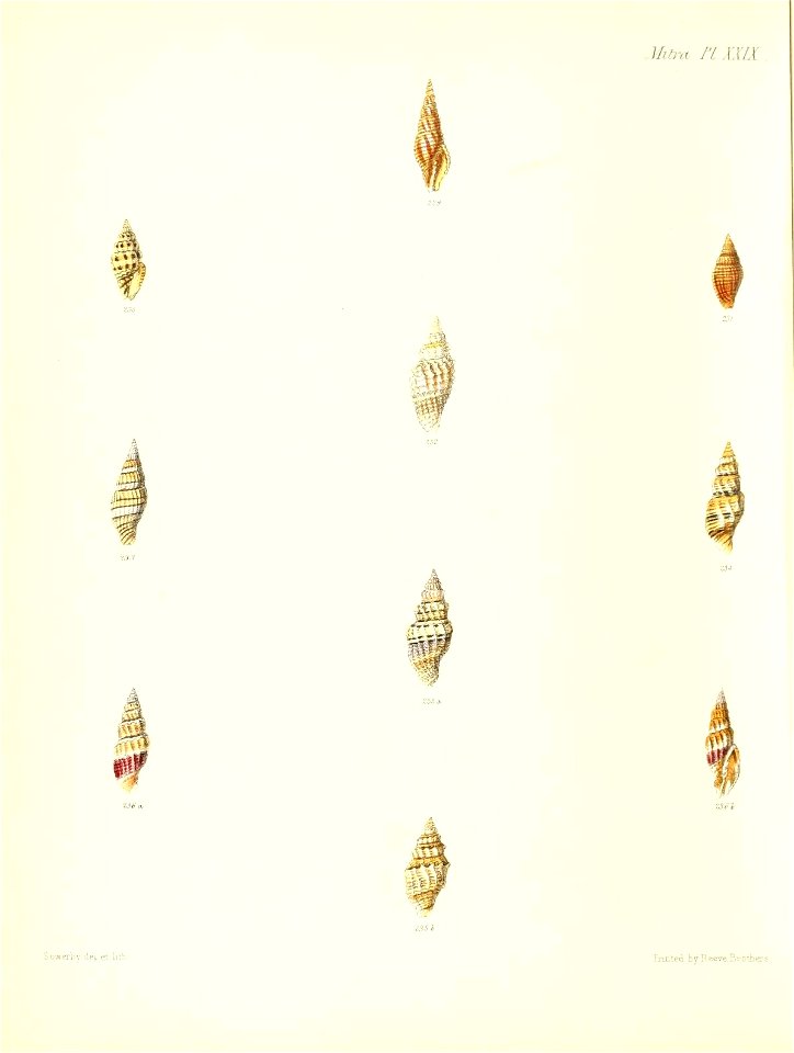 n355_w1150