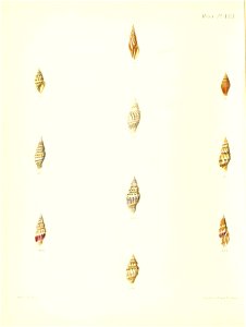 n355_w1150