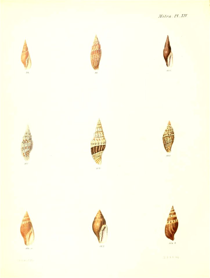 n295_w1150