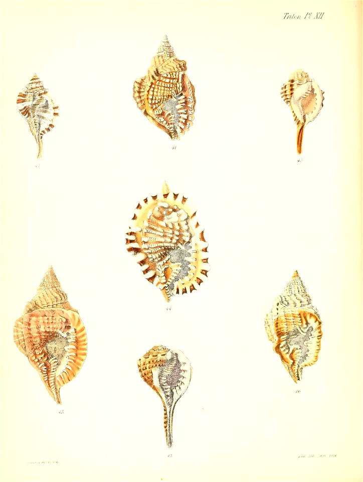 n153_w1150