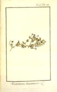 n115_w1150
