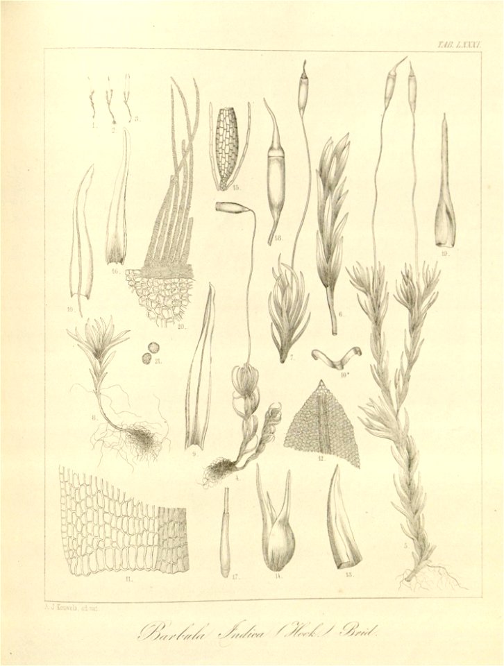 n216_w1150