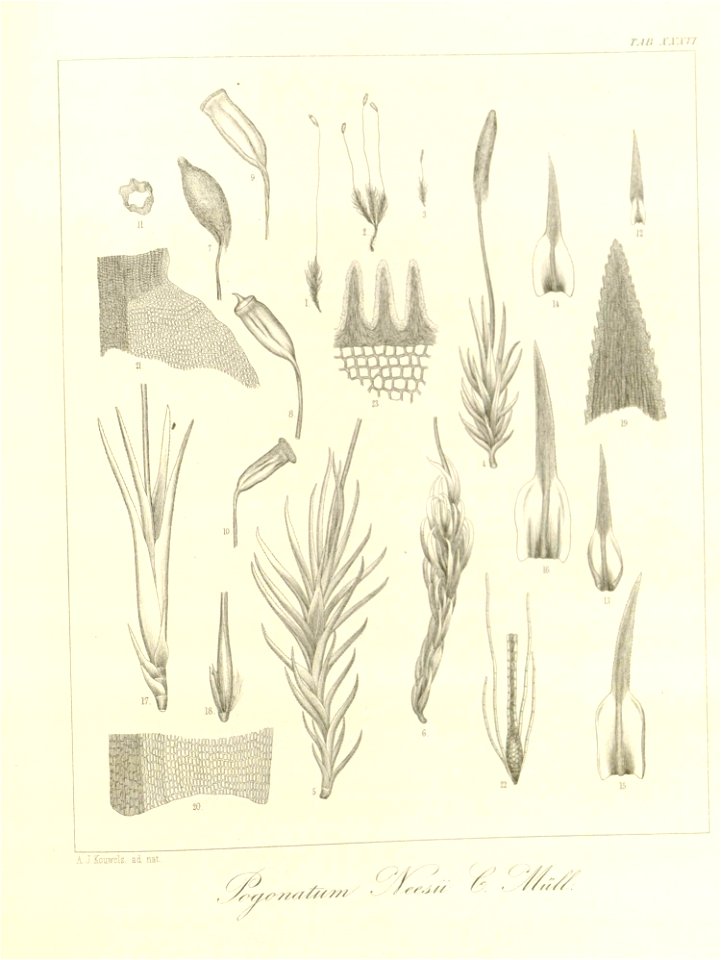 n103_w1150