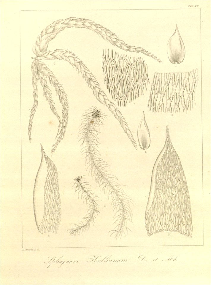 n63_w1150