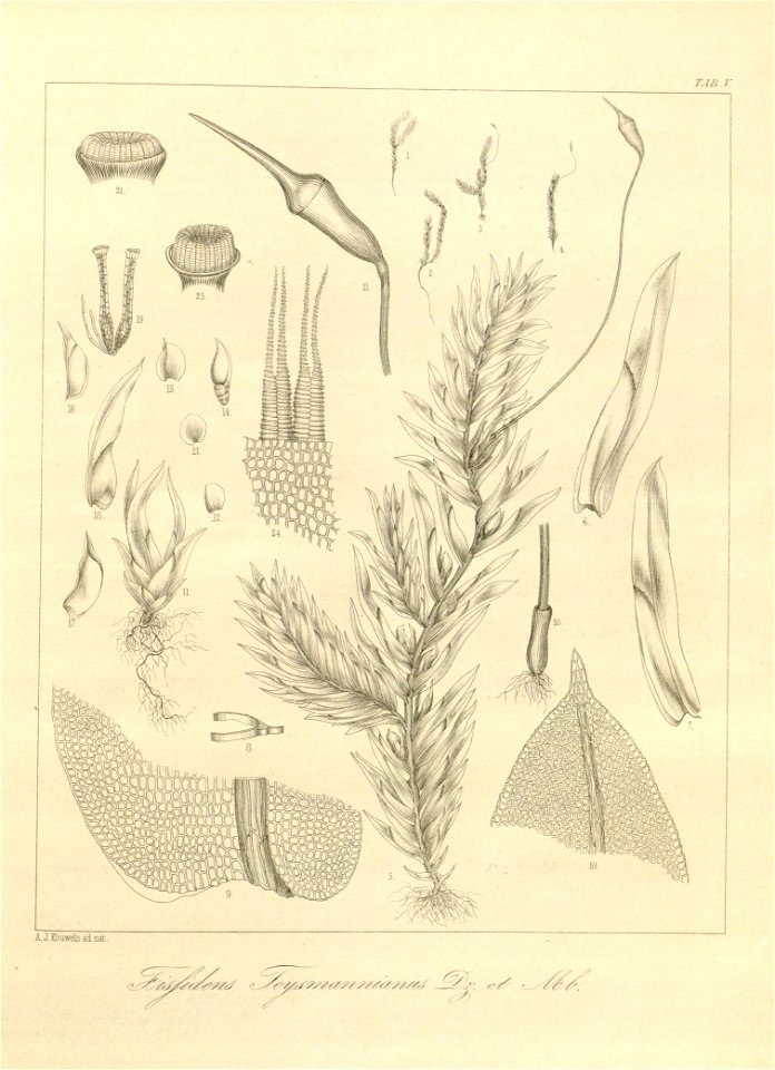 n20_w1150
