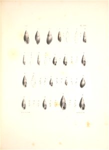 n426_w1150