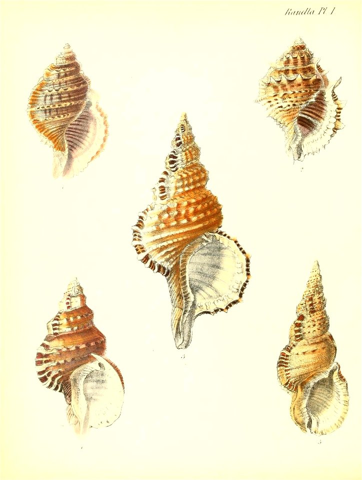 n207_w1150