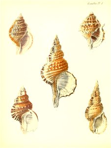n207_w1150