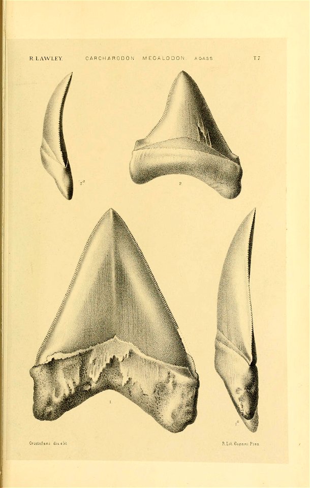 n96_w1150
