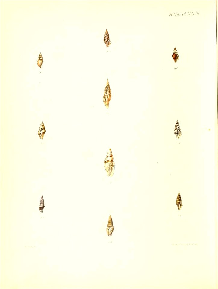 n387_w1150