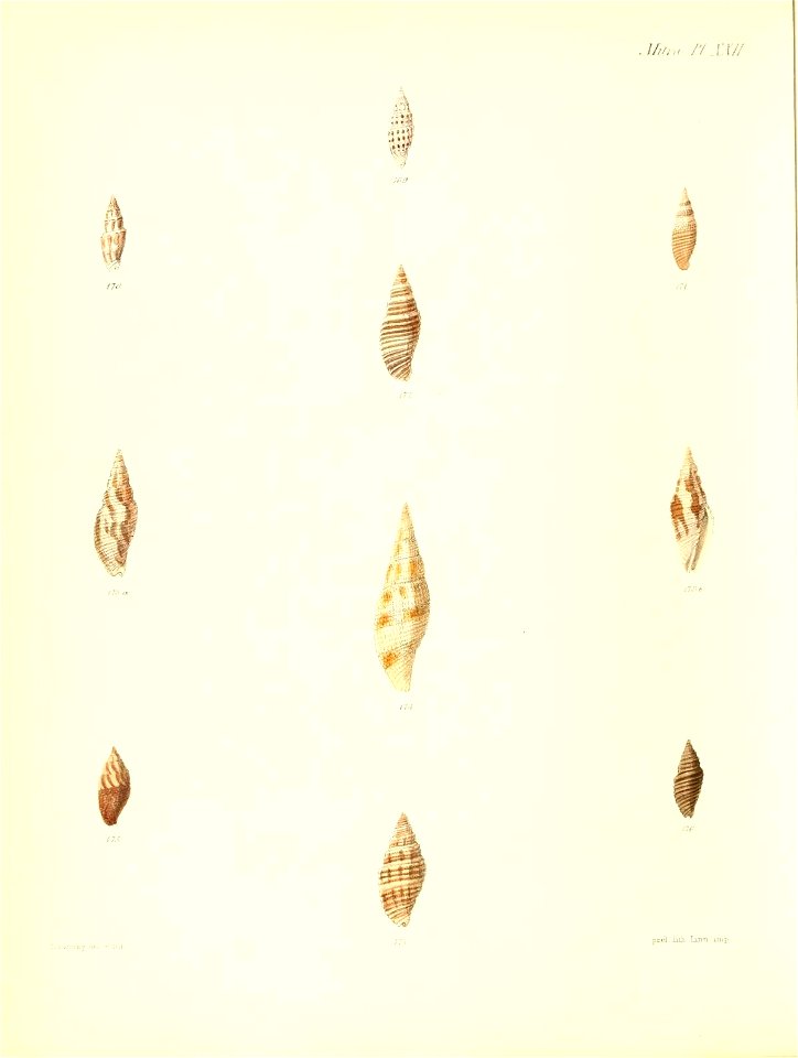 n327_w1150