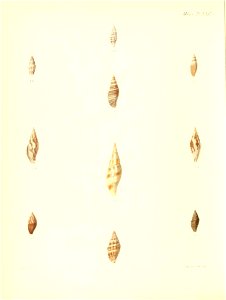 n327_w1150