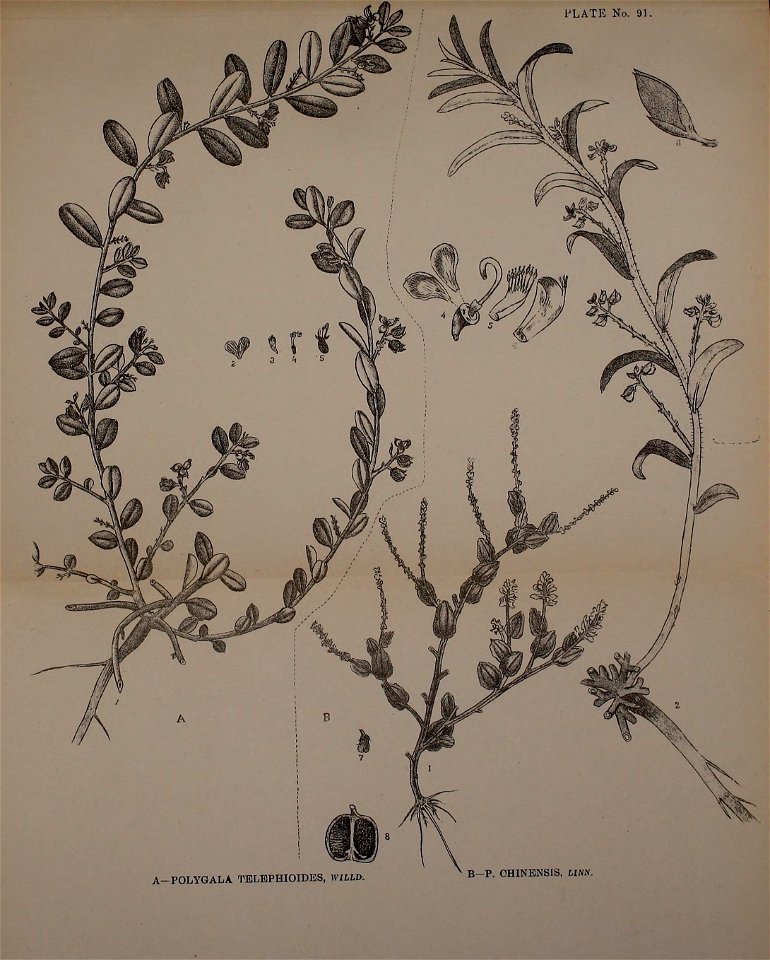 n236_w1150