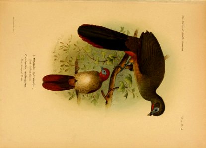 n38_w1150