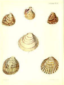 n425_w1150