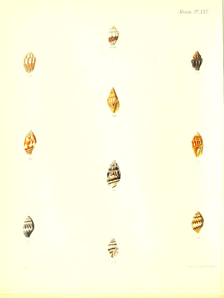 n359_w1150