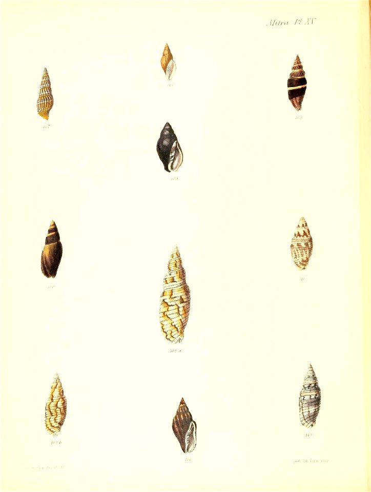 n299_w1150