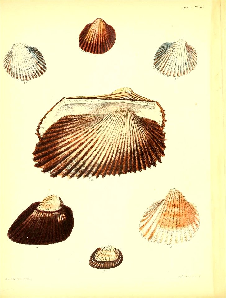n41_w1150