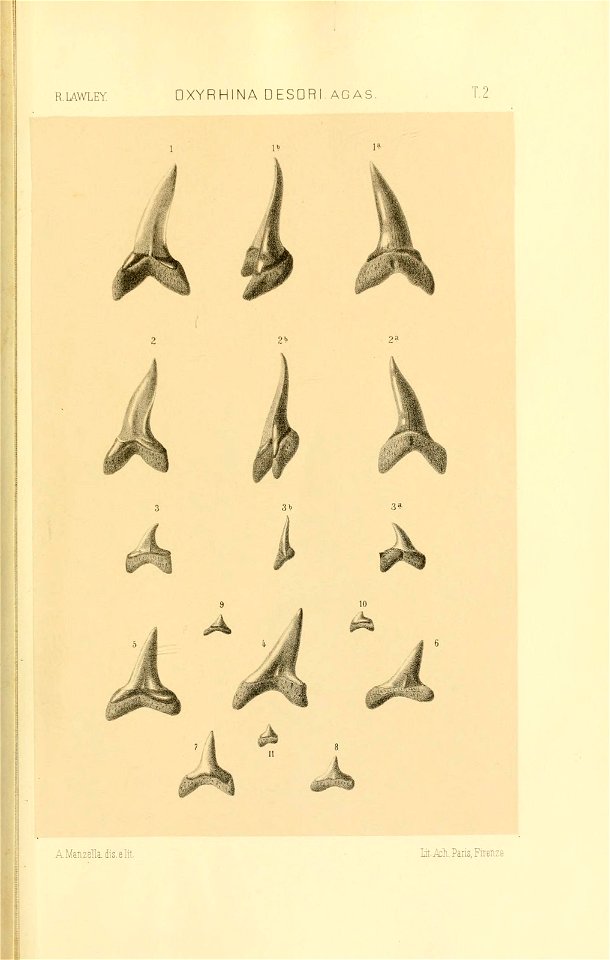 n186_w1150